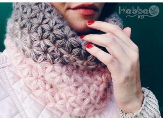 Redecilla de crochet para mujer: calada, con orejas, cuello, capucha, tubo, voluminosa - patrones de tejido, novedades, patrones